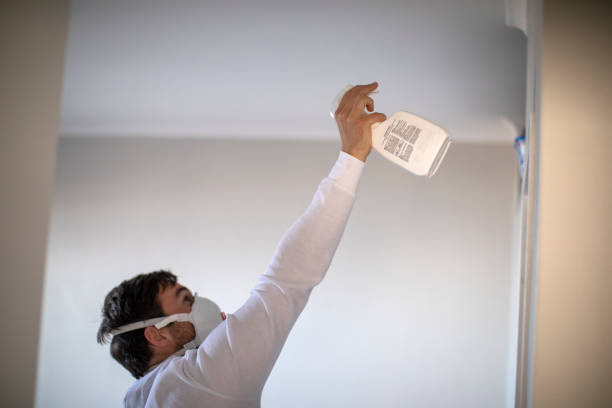 Best Emergency Mold Removal  in Thibodaux, LA
